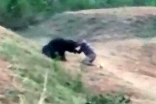 Bear mauls man in Odisha, India
