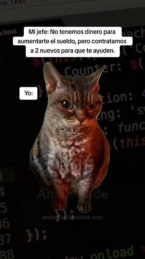 759K views · 10K reactions | #Meme #andercode #developer #programacion #python #novia #humor #esposa | AnderCode | Facebook