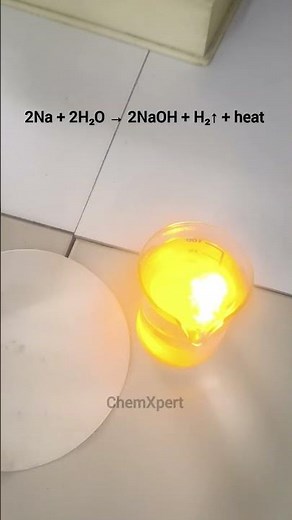 Reaction of Sodium Metal with Water| Class 10 Science