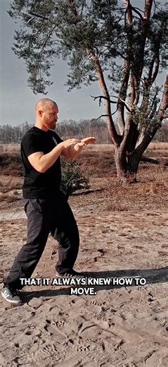 inner journey #taiji #tao #advaita #gongfu