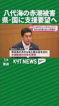 Red Tide Damage in Yatsushiro Sea Exceeds 1.2 Billion Yen; Government Aid to Be Requested