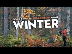 Catching The Last Autumn Colors Before Winter | Woodland Photography