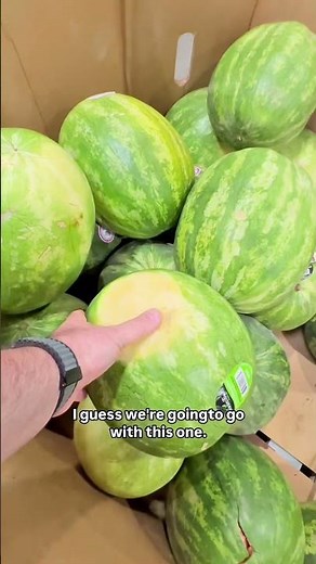 POV: You go to Costco for watermelon but let ChatGPT do the emotional labor