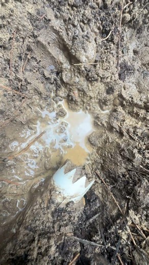How to get pipe under side walk. 11/2 in sleeve