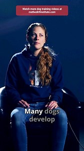 35K views · 1.2K reactions | Why do dogs struggle with separation anxiety? Watch detailed tutorials at methodk9institue.com | Method K9 | Facebook