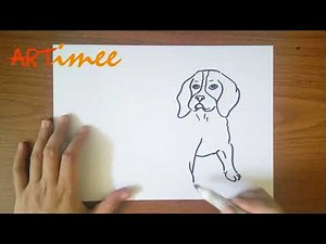 How to Draw a Beagle