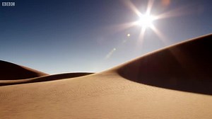 蚁狮优化算法的生物学原理