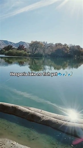 Hesperia lake fishing.