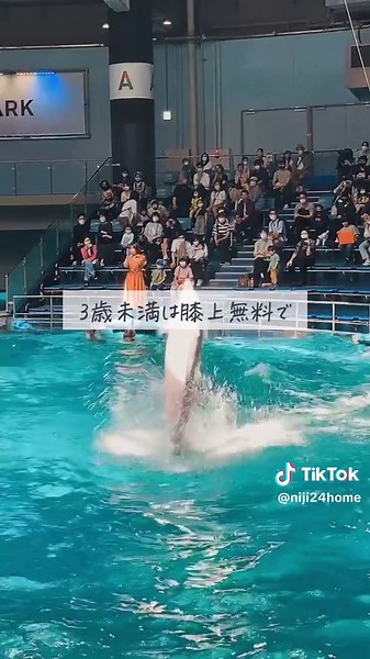 【日本一わかりやすいマイルの貯め方③】 必要マイル数を調べよう！ 必要マイル数は、空港会社や時期によって変わります。 航空会社のHPで確認してみてくださいね。 ANAでは最近ルール変更があり 必要マイル数がUPしました😭 国内線の場合 片道発券が可能。 3歳未満の小児は大人一人につき一人まで膝上無料。 3歳以上の小児は大人と同じマイル数が必要です。 国際線の場合 往復発券のみ。 膝上で搭乗する場合、特典航空券の10%のマイルが必要。 3歳以上の小児は大人と同じマイル数が必要です。 ✈︎＿＿＿＿＿＿＿＿＿＿＿＿＿＿＿＿＿＿＿＿ このアカウントでは 家計管理を整えて マイルの知識をつけて 家計に負担なく年1旅行して 家族の思い出を増やすことを目的としています！ 旅好きの私と仲良くしてくださると嬉しいです ▷@niji.home ＿＿＿＿＿＿＿＿＿＿＿＿＿＿＿＿＿＿＿＿✈︎ #家族旅行 #マイル #旅行