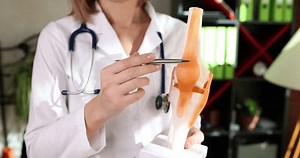 The doctor shows the anatomical model of the human knee, a close-up. Treatment of the musculoskeletal system