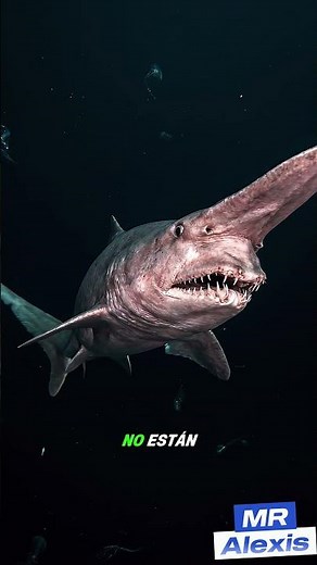 El Tiburón Duende: El Tiburón Más Extraño del Mundo 👹