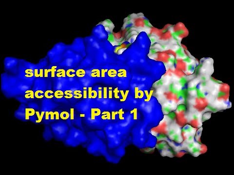 surface area accessibility by Pymol - Part 1