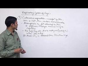 Class 11 Zoology digestive of frog part 3