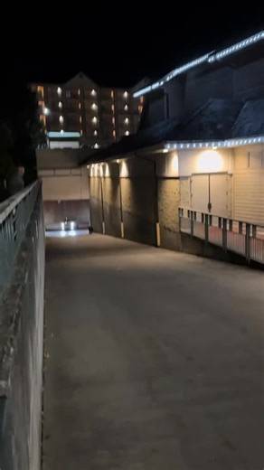 Cops giving chase to a bear…only in Gatlinburg, Tennesee. I’m guessing the bear was wanted for Grand Theft Honey. | The Appalachian Project