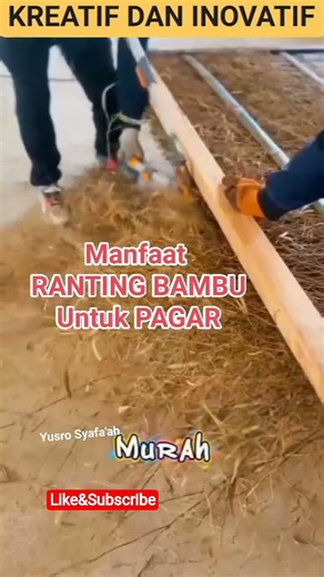 KREATIF,SAMPAH BAMBU dibuat PAGAR, #viral #fyp #automobile #new @TopTrending