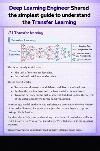 This is why Transfer Learning feels like cheating 🤯
