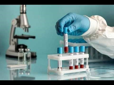 Labaratory Technicians