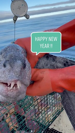 Friendliest Catch 2022 was an amazing year, too many highlights here’s a few! Thank you to my friendliest catch crew, and thank you for all the support! Happy New Year! #foryou #crab #crabs #newyear #newyears #2022 #fyp #fishtok #fish #fishing #fisherman #california #fishingtiktoks #fishinglife #commercialfishing #santacruz #friendliestcatch #sustainable