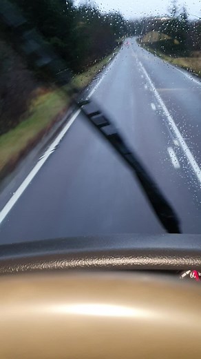 I'm sure this digger is going to grow some baby mini diggers if it stays any longer.