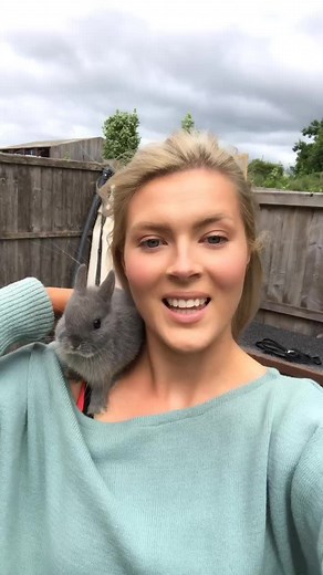 Discovering Bean's Gender: How to Tell Bunny Gender