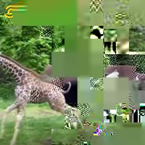 65K views · 332 reactions | Expect the fur to fly as we take a deep dive into the archive, with the funniest members of the animal kingdom caught on camera! 年 | Comedy Central UK | Facebook