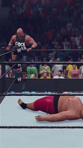 THE RING ALMOST BROKE! Stone Cold vs Yokozuna Full Fight 💥