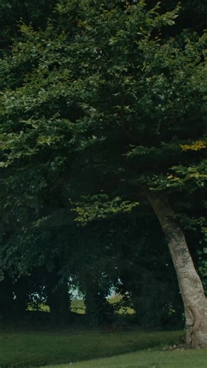 5.9K views · 59 reactions | Whatever the weather, great short breaks are guaranteed. Tune in to Weather on RTÉ One and RTÉ Player for all the latest weather updates, proudly sponsored by Fáilte Ireland. | Discover Ireland | Facebook