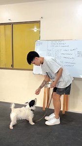 3.8K views · 41 reactions | New Student | JD | Obedience Training | Dog Trainer Cebu | Facebook