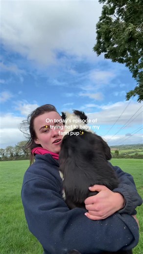 How to Comfort a Scared Puppy After a Shock