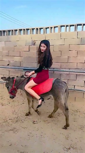 Raising Horses Where Strength Meets Kindness 65