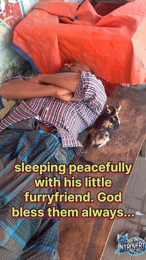 2.2K views · 47 reactions | With empty pockets life becomes so hard, but richest heart is always found on the streets even in empty pockets ❤️ #FurryFriends #catvideos #streetcats #truelove #catlovers | Being Introvert BD | Facebook