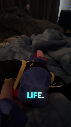 #vr #goviral #animalcompany @Animal Company #plushies