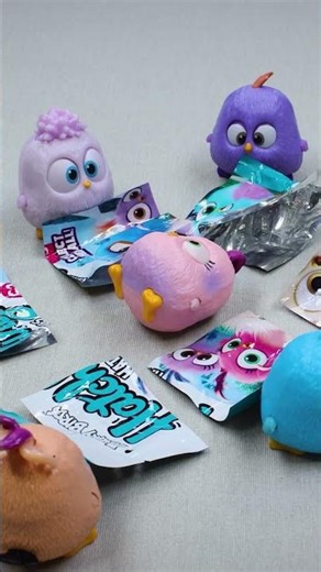 Hatchling Teamwork! 🙌🏼 There Is No Stopping Them Now! 🥳 #shorts