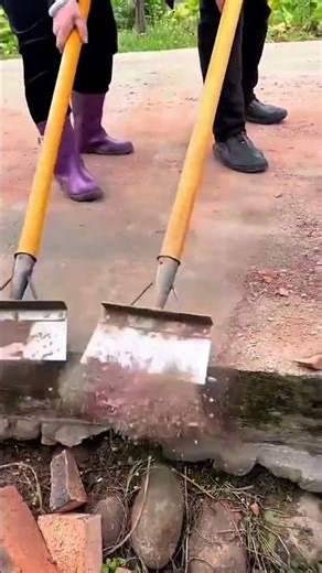 Hoe scrapes mossy dirt from narrow pathway