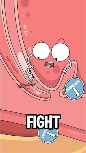 Snoring can slowly damage your heart… and most people don’t know this.