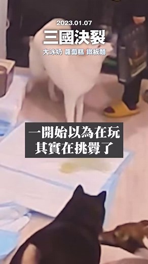 179K views · 2K reactions | 有很多人問，為什麼不能讓他們靠近或親近別人的狗。...