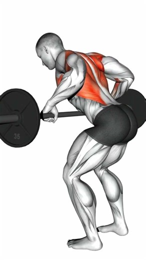 BACK Exercise 💪🏽 Subscribe More Videos 🙏
