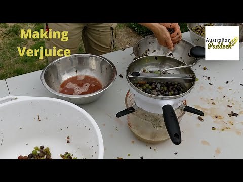 Making Verjuice