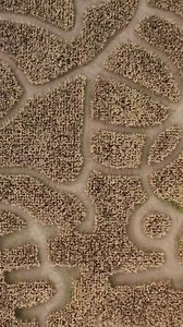 3K views · 44 reactions | Looking for a day of farm fun? Visit Mulberry Lane Farms in Calumet County! This family farm is perfect for an excursion to see animals, learn about history, and have an authentic farming experience. Watch this entire #DiscoverWisconsin full episode, 'Calumet, a County for All Seasons', now to learn more about Mulberry Lane Farms and all they have to offer. https://bit.ly/3DrbRSb  Calumet County, Mulberry Lane Farm | Discover Wisconsin | Facebook