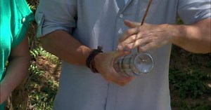 Mark's DIY Glass Bottle Hummingbird Feeder