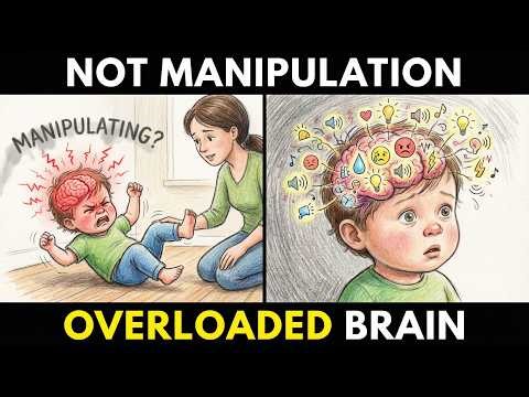 YOUR CHILD ISN’T MANIPULATING YOU — THEIR BRAIN IS OVERLOADED