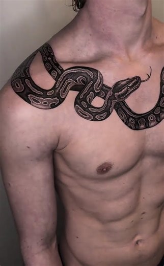 #Ball python#Pet snake#Pet climbing#Tattoo