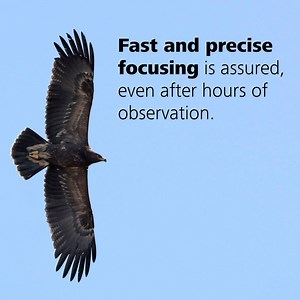 With the unique ergonomic design of the new ZEISS Victory SF 32, you can fully enjoy some of nature’s most breathtaking moments, such as the beauty of migrating raptors above a hotspot. https://www.zeiss.com/morediscoveries | ZEISS Birding