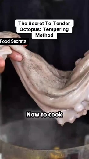 Tender Octopus Tempering Method: Secrets Revealed