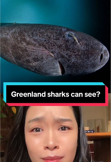 Greenland Sharks: Vision and Longevity Unveiled