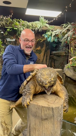 147K views · 3.2K reactions | Meet Bowser! Brian Barczyk 110 pound Alligator Snapping Turtle!#bowser #snappingturtle #turtle #alligatorsnappingturtle | Ed The Pond Professor | Facebook