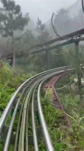 🎢 Bana Hills Alpine Roller Coaster Experience 🇻🇳 #vietnam #viral #rollercoaster #bana #banahills
