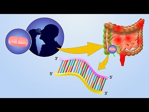 Mechanism of Action of SMAD7 Inhibitors