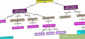 6 Tipos De Niveles Láser Explicados 🔧🔧 Consejos Para Mejoras En El Hogar. Haga Sus Propias Manos - 2025