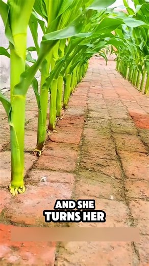 From Bricks to Vegetables… This is Genius 🔥